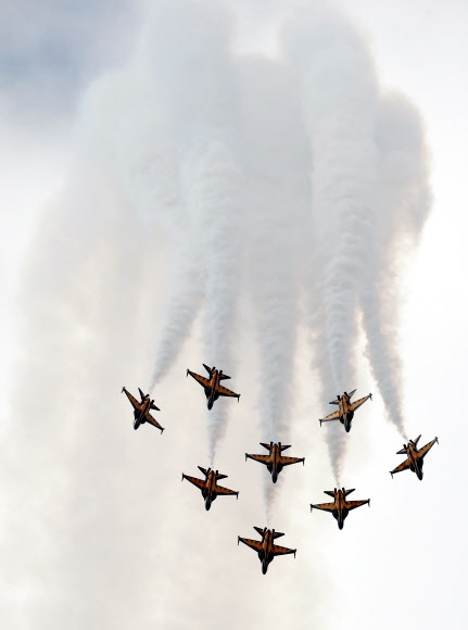 ADEX 편대비행 펼치는 공군 특수비행팀 ’블랙이글스’