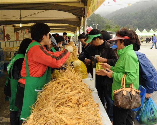 지난해 홍천에서 열린 인삼축제장에서 6년근 인삼을 싼값에 사려는 관광객들이 몰려 흥정을 하고 있다.<br>홍천군 제공