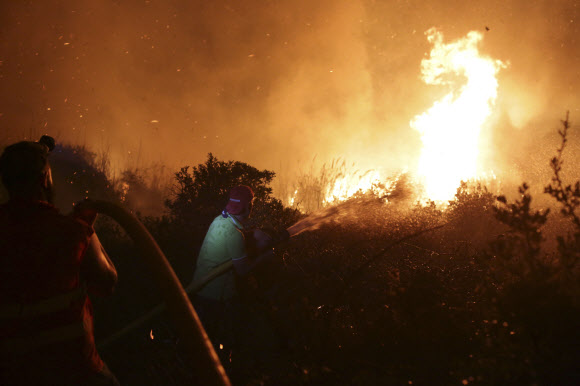 포르투갈 산불로 최소 6명 사망