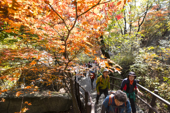 ’가을이 옵니다’