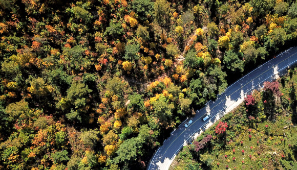 ’가을을 달리다’