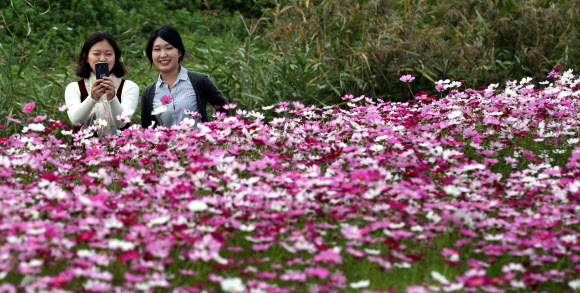 ’가을을 담아갑니다’