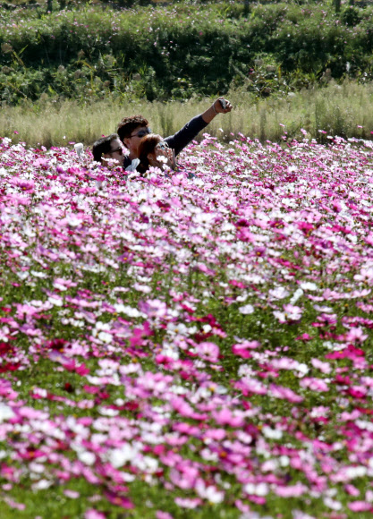 가을의 한복판에서