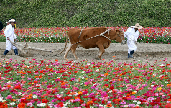 ’조심만 더 힘내자구’