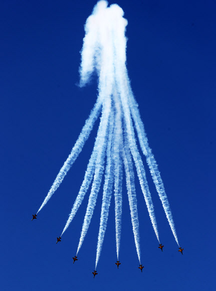 블랙이글스의 화려한 공중곡예