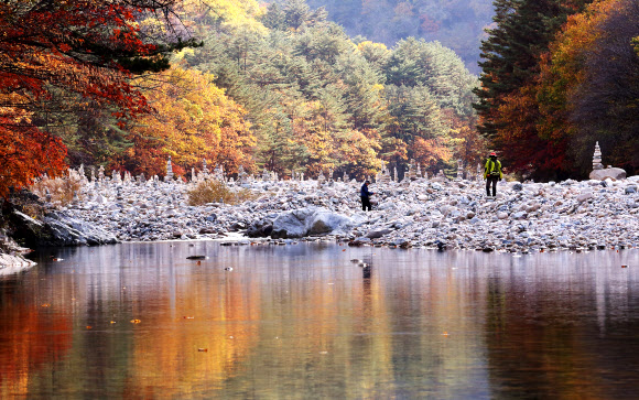 인제 북면 백담사의 단풍이 붉게 물들어 절정을 이루고 있다. 지난 22일 백담사를 찾은 관광객이 단풍이 곱게 물든 산책로를 걸으며 가을 정취를 만끽하고 있다.  인제군 제공=연합뉴스