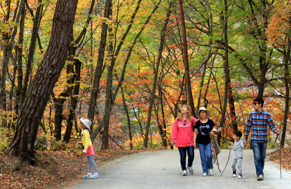 인제 북면 백담사의 단풍이 붉게 물들어 절정을 이루고 있다. 지난 22일 백담사를 찾은 관광객이 단풍이 곱게 물든 산책로를 걸으며 가을 정취를 만끽하고 있다. 인제군 제공=연합뉴스