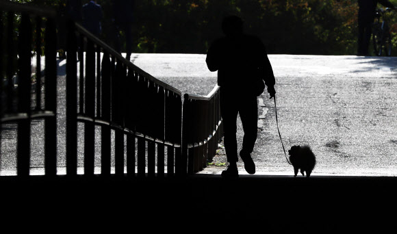 23일 오후 서울 영등포구 여의도한강시민공원에서 한 시민이 목줄을 채운 반려견과 산책을 하고 있다. 정부는 최근 반려견이 사람을 물어 사망에 이르게 한 사건 발생을 계기로 반려견 관리 소홀 등에 대한 처벌을 대폭 강화하기로 했다.  연합뉴스