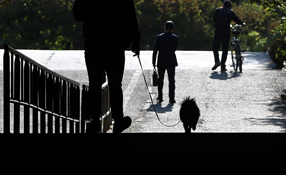 23일 오후 서울 영등포구 여의도한강시민공원에서 한 시민이 목줄을 채운 반려견과 산책을 하고 있다. 정부는 최근 반려견이 사람을 물어 사망에 이르게 한 사건 발생을 계기로 반려견 관리 소홀 등에 대한 처벌을 대폭 강화하기로 했다.  연합뉴스