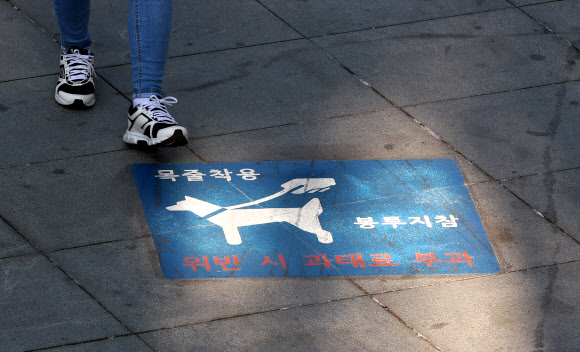 23일 오후 서울 영등포구 여의도한강시민공원 입구에 공원 내 반려견 출입에 관한 안내문이 설치돼 있다. 정부는 최근 반려견이 사람을 물어 사망에 이르게 한 사건 발생을 계기로 반려견 관리 소홀 등에 대한 처벌을 대폭 강화하기로 했다.  연합뉴스