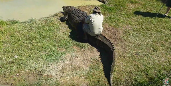 poxdoctor Liveleak / ViralHog youtube