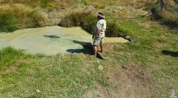 poxdoctor Liveleak / ViralHog youtube