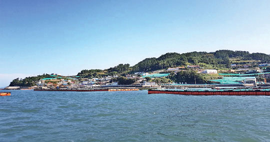 전남 완도군 소랑도 마을 전경.