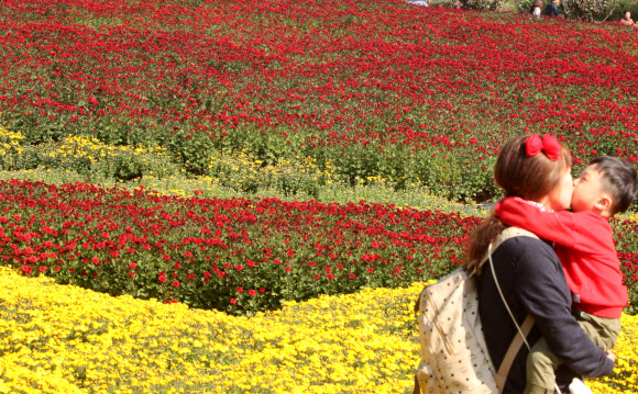 아이와 함께 국화 옆에서
