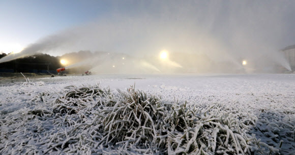 강원 평창군 용평리조트가 31일 새벽 스키장 2개 슬로프에 84대의 제설기를 동원해 이번 가을 첫 인공 눈을 뿌리며 본격적인 스키시즌 준비에 돌입했다.  연합뉴스