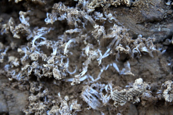 31일 오전 무등산 국립공원 장불재 일원에 올해 가을 들어 처음으로 서리가 관측됐다.  무등산국립공원사무소 제공=연합뉴스