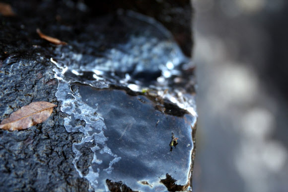 31일 오전 무등산 국립공원 7부 능선의 얼음 바위에 올해 가을 들어 처음으로 얼음이 관측됐다.  무등산국립공원사무소 제공=연합뉴스