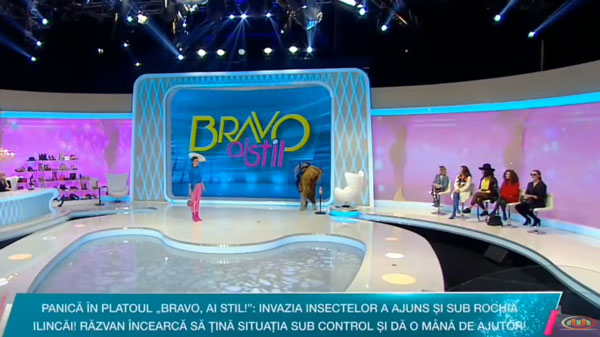 Bravo ai Stil! , Universal Media Online youtube