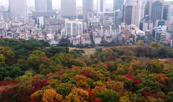 절기상 입동을 이틀 앞둔 5일 오전 서울 강남구 삼성동 선정릉 일대가 오색빛 단풍으로 물들어 있다.  연합뉴스