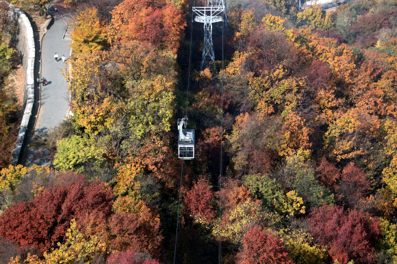 전국적으로 단풍이 절정을 향해가는 5일 서울 남산에 가을이 짙어지고 있다.  연합뉴스