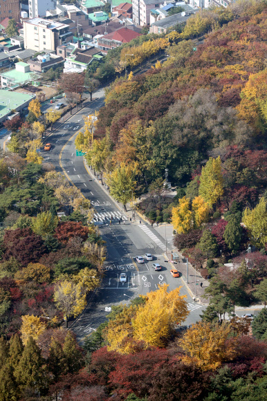 전국적으로 단풍이 절정을 향해가는 5일 서울 남산에 가을이 짙어지고 있다.  연합뉴스
