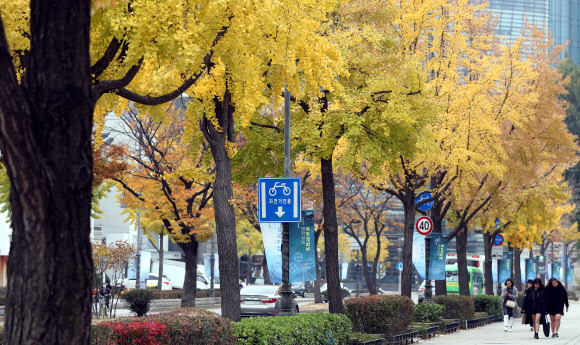 전국적으로 단풍이 절정을 향해가는 5일 서울 종로구 삼청동 일대의 가로수에 가을이 짙어지고 있다.  연합뉴스