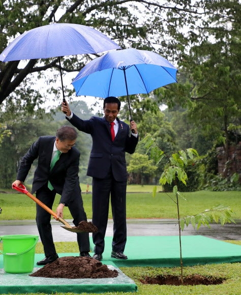 한ㆍ인니 정상 기념식수