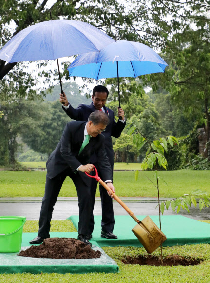 ’기념식수’ 하는 문 대통령