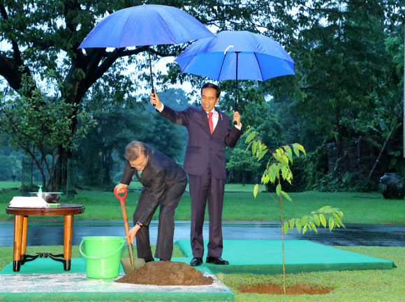 기념식수하는 한ㆍ인니 정상