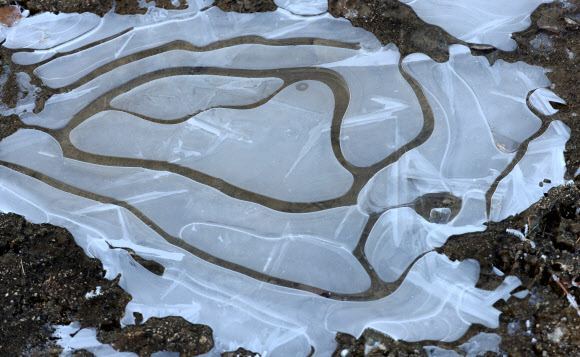 추위가 얼음 위에 그린 그림