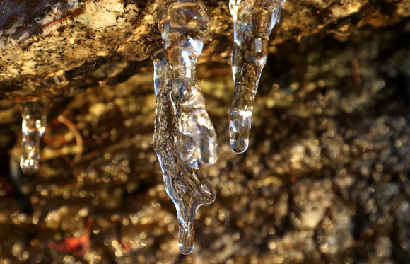 추위의 대명사 대관령의 고드름