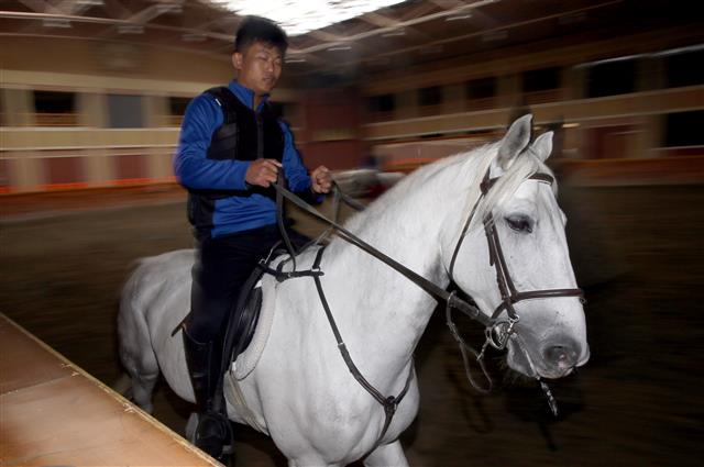 [평양은 지금] 백마 타는 평양 시민