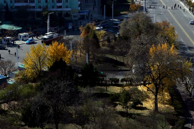 [평양은 지금] 노랗게 물든 공원