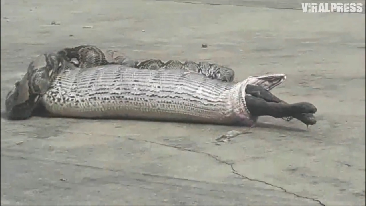 유튜브 영상 캡처. ViralPress.