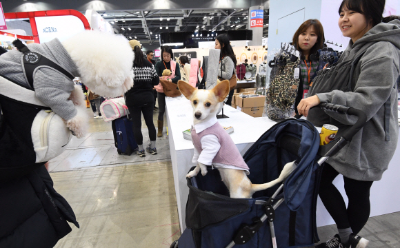 24일 경기 고양시 킨텍스에서 ’2017 켓이펫페어 일산’ 전시회가 열리고 있다. 2017.11.24 최해국 선임기자seaworld@seoul.co.kr