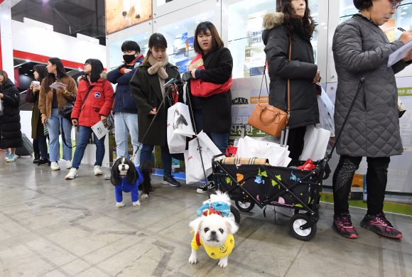 24일 경기 고양시 킨텍스에서 열린 ’2017 켓이펫페어 일산’ 전시회에서 관람객들이 입장을 기다리고 있다. 2017.11.24최해국 선임기자seaworld@seoul.co.kr