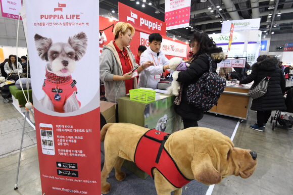 24일 경기 고양시 킨텍스에서 ’2017 켓이펫페어 일산’ 전시회가 열리고 있다. 2017.11.24 최해국 선임기자seaworld@seoul.co.kr