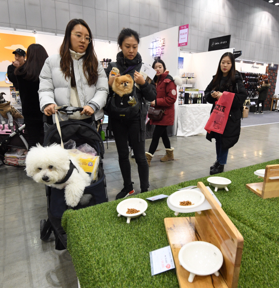 24일 경기 고양시 킨텍스에서 ’2017 켓이펫페어 일산’ 전시회가 열리고 있다. 2017.11.24 최해국 선임기자seaworld@seoul.co.kr