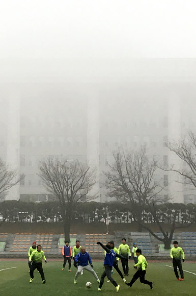 안갯속 조기 축구