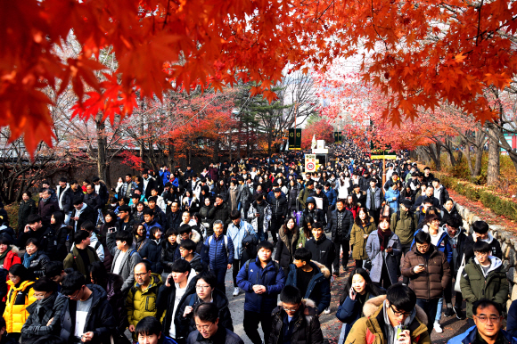 26일 서울 명륜동 성균관대학교에서 수시시험을 마친 학생들이 캠퍼스를 나서고 있다. 박지환 기자 popocar@seoul.co.kr