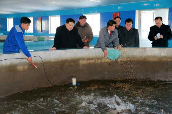 김정은 북한 노동당 위원장이 평안남도 순천에 최근 준공된 메기공장(양어장)을 시찰했다고 노동당 기관지 노동신문이 28일 보도했다.  연합뉴스