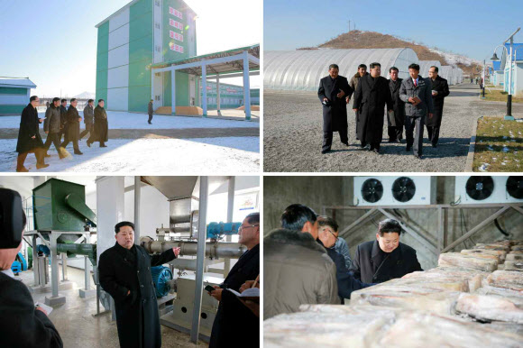 김정은 북한 노동당 위원장이 평안남도 순천에 최근 준공된 메기공장(양어장)을 시찰했다고 노동당 기관지 노동신문이 28일 보도했다.  연합뉴스