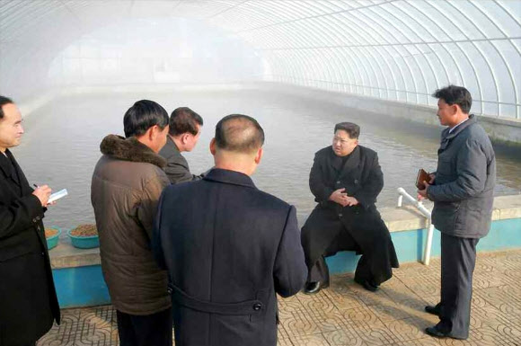 김정은 북한 노동당 위원장이 평안남도 순천에 최근 준공된 메기공장(양어장)을 시찰했다고 노동당 기관지 노동신문이 28일 보도했다.  연합뉴스