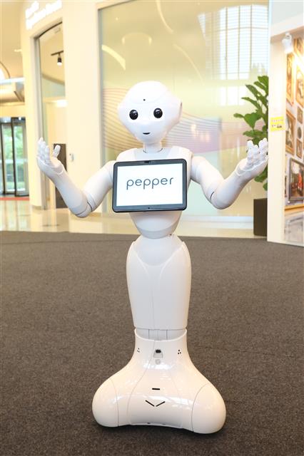 LG유플러스가 도입한 손님 접대 로봇 ‘페퍼’.