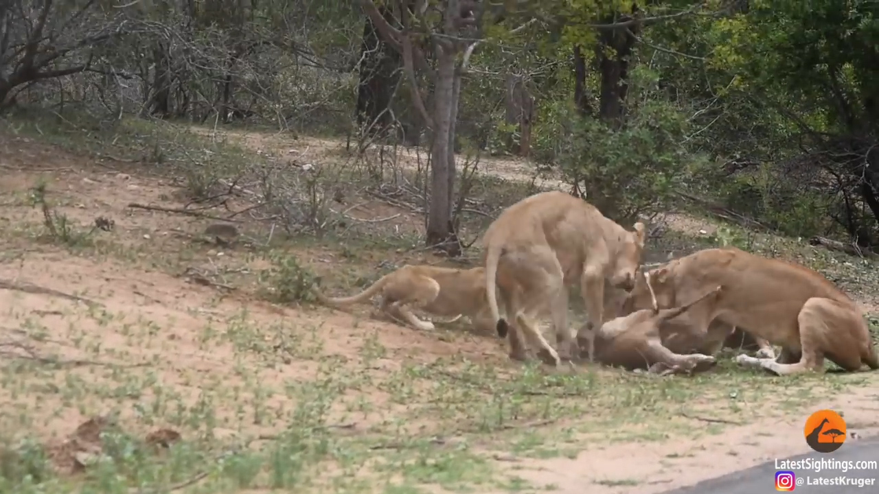 유튜브 영상 캡처
