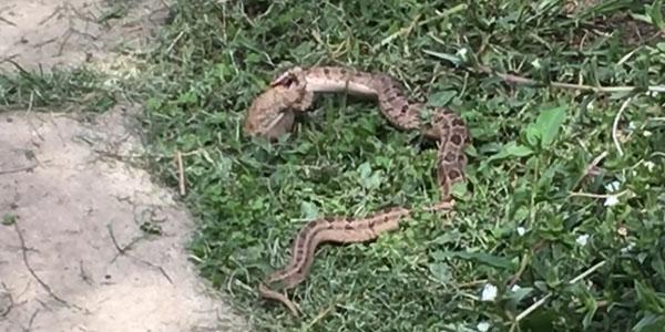 유튜브 영상 캡처