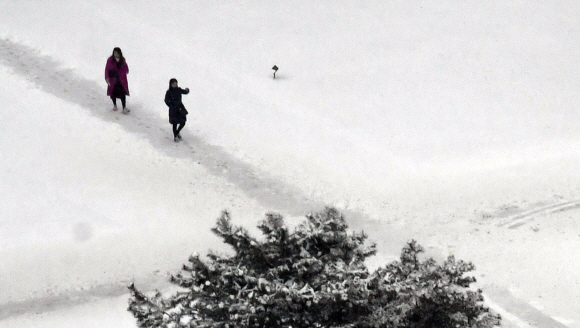 10일 서울 덕수궁에 많은 눈이 내려 쌓여 있다.2017.12.10 박지환 기자 popocar@seoul.co.kr