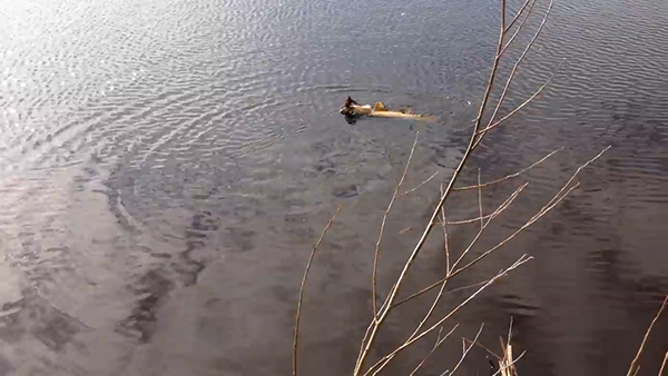 유튜브 영상 캡처. Chris Verheul.