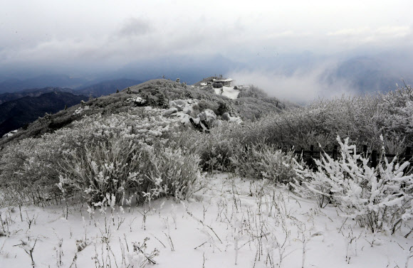국립공원 덕유산 정상에 상고대 ’장관’