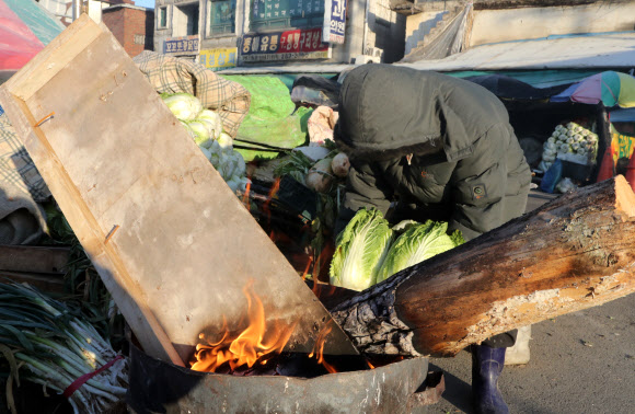 배추 녹이는 시장 상인